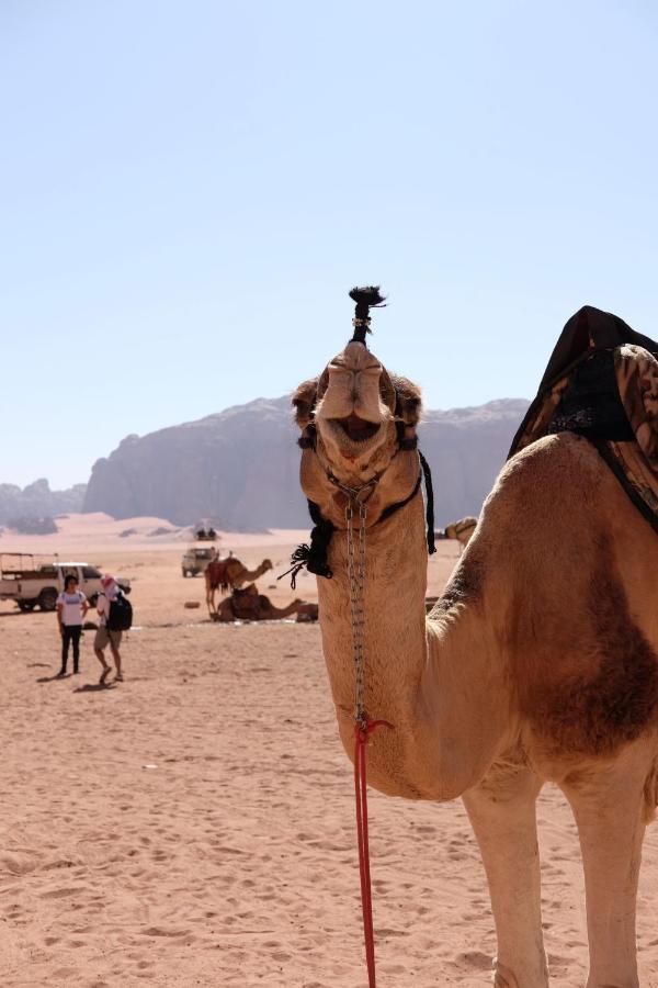 Wadirum Momoo Wadi Rum Buitenkant foto
